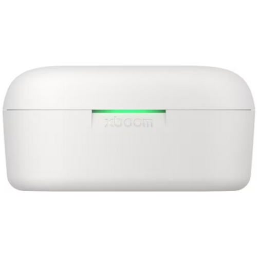 LG전자 엑스붐 버즈 충전 케이스 (정품)_이미지