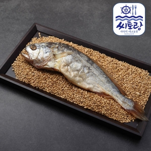 씨토랑 영광법성포 부세보리굴비 선물세트 대 27~29cm 10미 (1개)_이미지