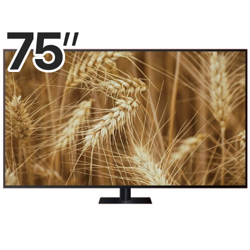 삼성전자 QLED KQ75QD75AFXKR (스탠드)
