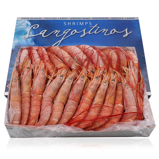 오션패밀리 아르헨티나 적새우 L1,L2