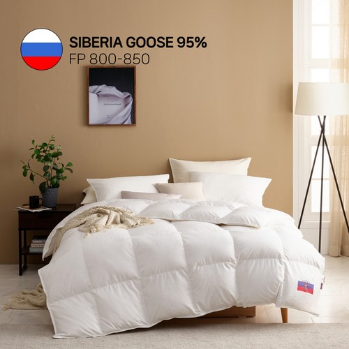 �����к긯 80�� �ú����� �����ٿ� 95% �ܿ�� �̺Ҽ�