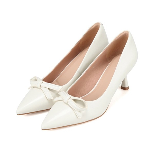 �ٹٶ� �簡�� ������� ������ BBJ221IV