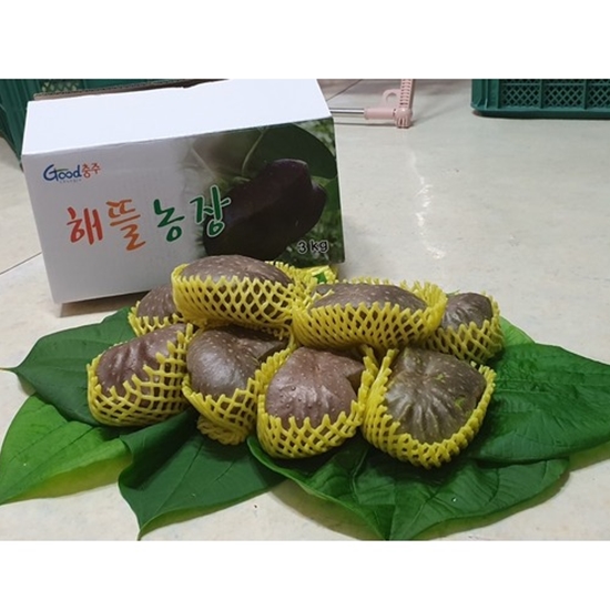 해뜰농장 열매마 3kg (1개)_이미지