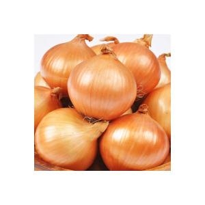 GFresh 양파 10kg 특품 /국내산 23년산 햇양파_이미지