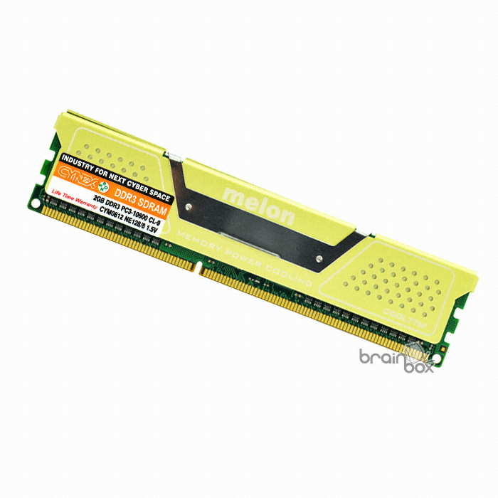 CYNEX DDR3-1066 멜론 (2GB)