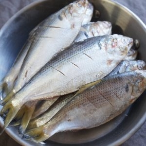 팔복수산 비늘손질 국내산 급냉 전어 구이용 500g (1개)