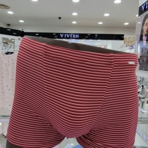 비비안 볼트론 폴리스판 가로 스트 남성드로즈팬티_이미지