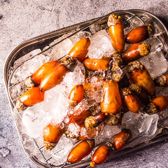 �����̺� ������ �̴��� 500g