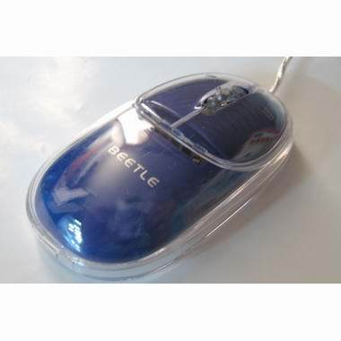 엔트라 BEETLE 블루