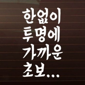 제제데코 텍스트 한없이 투명에 가까운 초보 스티커