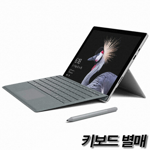 Microsoft ���ǽ� ����5 �ھ�i5 7���� Wi-Fi 256GB