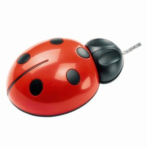 Pat Says Now Ladybug_이미지