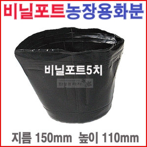  비닐포트5치 5개 /칼라/육묘농장/블루베리/모종화분
