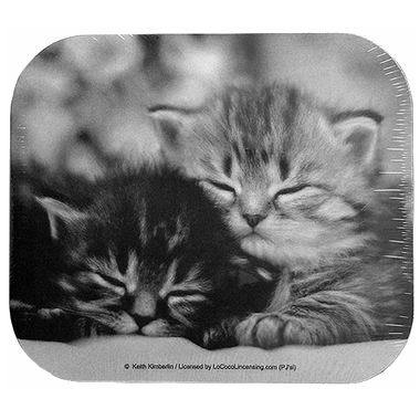 ��ο��� Sleeping Kittens