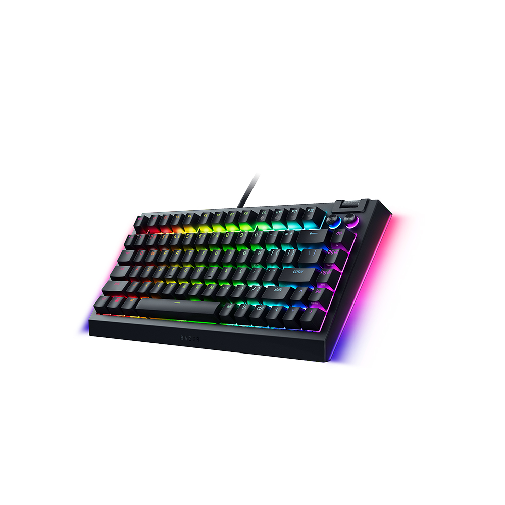 Razer BlackWidow V4 75% 기계식_이미지