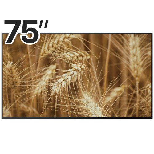 �Ｚ���� QLED KQ75QD75AFXKR