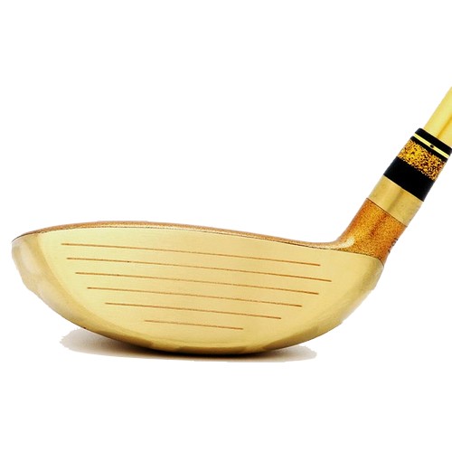 히메지몬자 골드코스트 유틸리티 중고 (스크래치)_이미지