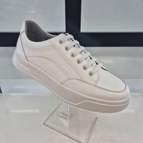 ��ĭ�� HC11 �Ұ��� ����ȭ P6T3U51B3