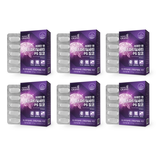 네이처그랜드 브레인 엔 포스파티딜세린 PS 징코 60캡슐 (6개)_이미지