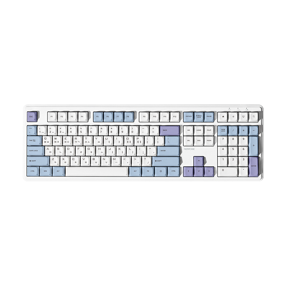 ROYCHE RK-G4000 ����