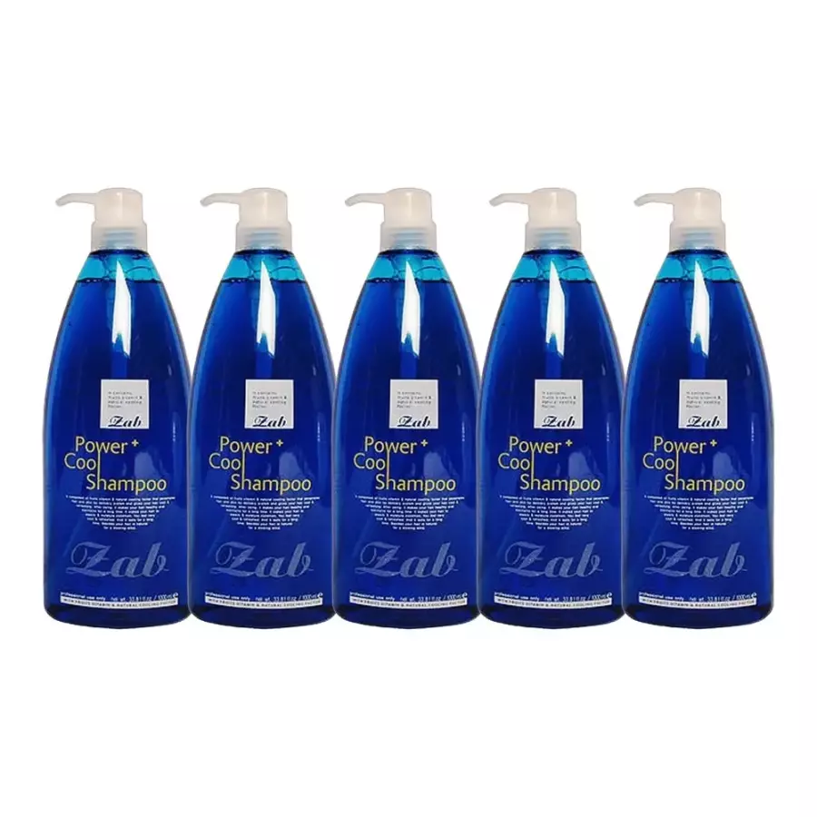 자브 파워 플러스 쿨 샴푸 1000ml (5개)_이미지