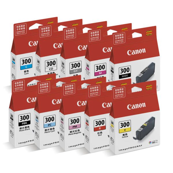 Canon ��ǰ PFI-300 (PBK, MBK, PC, C, PM, M, R, Y, GY, CO) 10�� ��Ʈ
