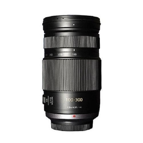 파나소닉 루믹스 G VARIO 100-300mm F4-5.6 MEGA OIS (정품)_이미지