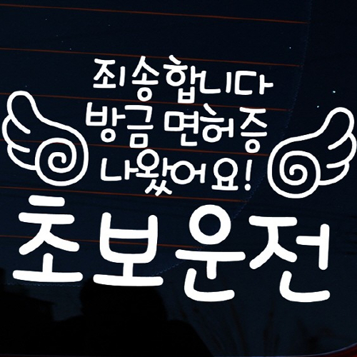 자동차 스티커3 글씨 죄송합니다 방금면허증 나왔어요 초보운전 LSC-403