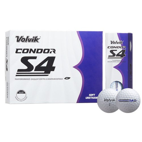 ���� 2024 �ܵ��� S4