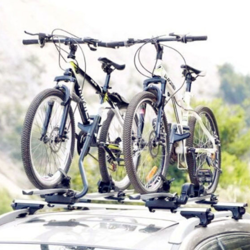 �� ���� ������ ������ ĳ����