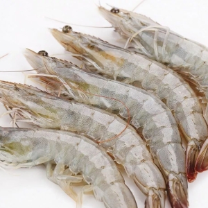 [�Ҹ�] �õ� ��ٸ�����  �ұݱ��̿� ���������� �ع�