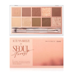클리오 프로 아이 팔레트 12 서울숲가을바람 6g