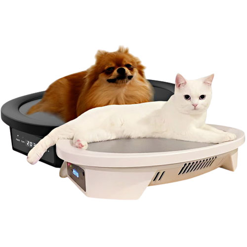 [불명] 둘키스 지능형 4계절 펫침대