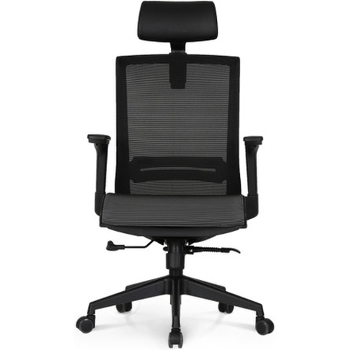 린백 올메쉬의자 LC36HB_이미지