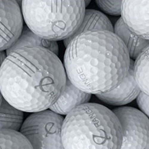 사라토가  E-RANGE BALL