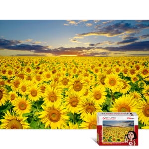 [불명] 1000조각 직소퍼즐 해바라기 들판 PG1005 퍼즐 취미 취미퍼즐 그림퍼즐