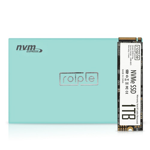 ����׶� ROIPLE Ray M.2 NVMe