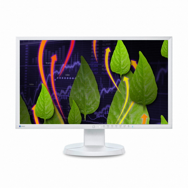 EIZO FlexScan EV2336W 듀얼팩