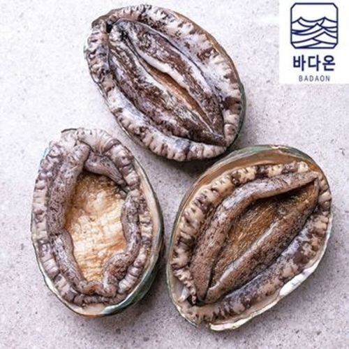 완도활전복 11-12미 1kg 마리당83g내외