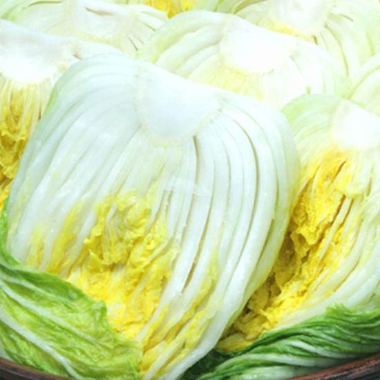 대관령원예농협 절임배추 12개(포기) 20kg (1개)_이미지