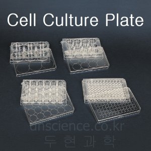 두현과학  다용도홈판  Well Plate /6홀/12홀/24홀 홈판 실험 과학 세포배양홈판 비이커 스포이드 샬레  우수한..