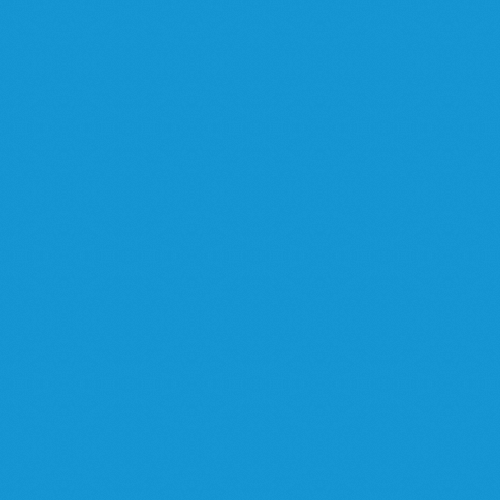 SAVAGE 65 Regal Blue ���������� �ѹ����