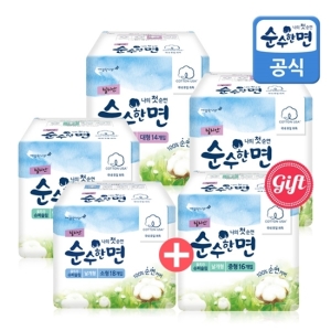 순수한면 중형 16개 (5팩(80개))_이미지