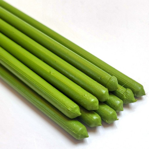 코팅 식물지지대 3호