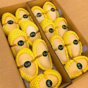 태국 골드망고 특대과 14과내외 5kg (1개)