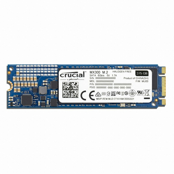 마이크론 Crucial MX300 M.2 SATA 대원씨티에스 (1TB)_이미지