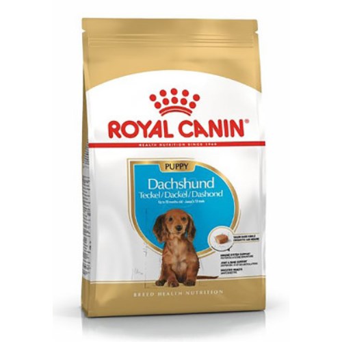 �ѱ����� �ξ�ĳ�� �� �ڽ���Ʈ ���� 1.5kg