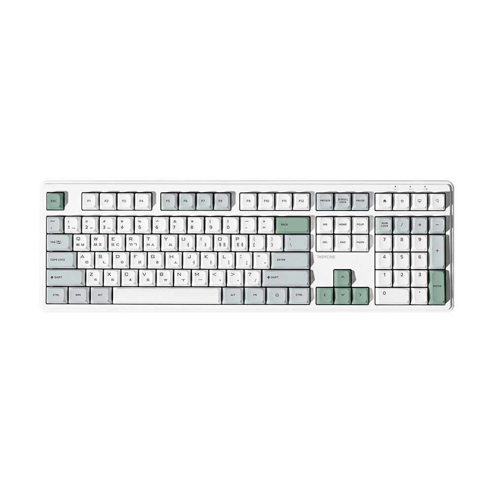 ROYCHE RK-G4000 무선 (그린)_이미지