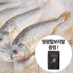 굴비나무 굴비家 잘말린 보리굴비 진공팩 27~29cm (10개)_이미지