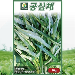 다농 공심채씨앗이미지입니다. 누르면 해당 게시물로 새창이동합니다.